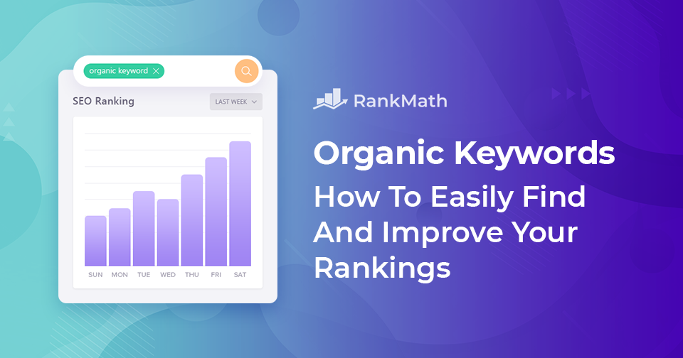 Organic Keywords – How to Easily Find & Improve Your Rankings in 2024?