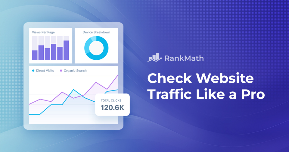 How to Check Website Traffic Like a Pro